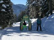 FilZOO adventure trail