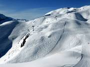 Fresh powder tracks at the summit lift