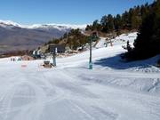 Debutants Coma Oriola - J-bar