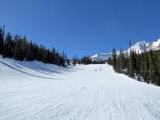 Easy slope Lone Wolf