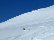 Powder fun at Windegga