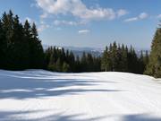 Easy slope in Mechi Chal