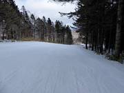 Very easy slope South Road