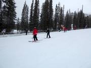 Beginner area Sunny Side with conveyor belts