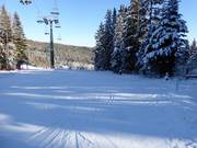 Practice slope on the Mönichkirchner Schwaig