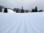 Very good slope grooming at Red Mountain Resort