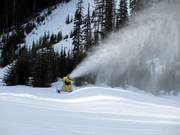 High-performance snow cannon in the Nakiska ski area