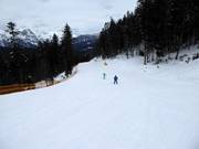 Slope from Brennerköpfl to the Gschwandtkopf valley station