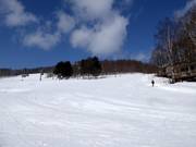 Easy slope White Lover at West Mountain