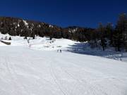 Easy beginner slope Scoiattolo at the Tarlenta mid-station