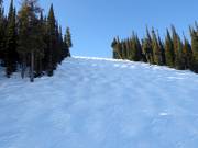 Challenging mogul slope Exhibition