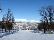 Slope No. 5 Genvägen