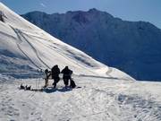 A heart for self-caterers