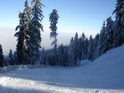 Maxweg on the valley run