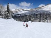 Easy slope at the Link chairlift