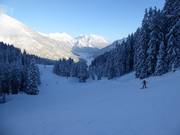 Upper easy section of the valley run to the Almkopfbahn towards Bichlbach