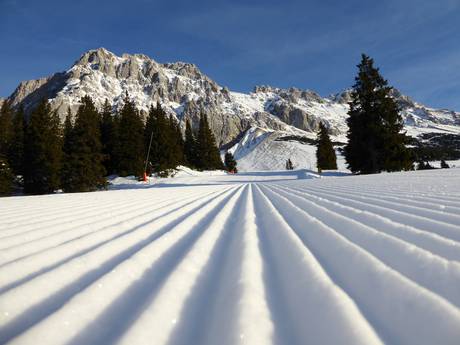 Slope preparation Wetterstein Mountains and Mieming Range – Slope preparation Ehrwalder Alm – Ehrwald