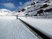 Shorty - People mover/Moving Carpet