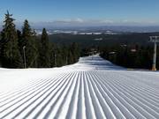 Very good slope grooming in Borovets