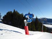 High-performance snow cannons in the Les Angles ski area