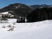 Conveyor belt, rope tow, and platter lift in the valley