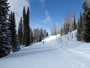 Easy slope Teton Vista Traverse