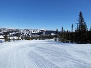 Easy slope Vesleseterbakken