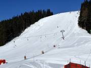 Black slope Lärchenschuss