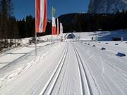 Cross-country ski trails at Monte Pana