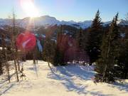 Forest run at Goat's Eye Mountain
