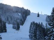 Difficult Blösse Run