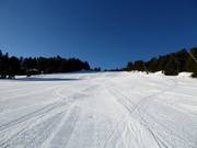 Bruyère Basse slope