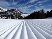 Perfect slope preparation in the ski resort of Wildhaus