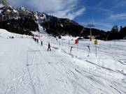 Minilift Ehrwalder Alm - Rope tow/baby lift with low rope tow