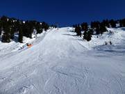 Black slope no. 19d at Hanser X-Press