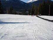 Beginner area in the valley section