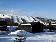 Cabins at the foot of Städjan with access to the ski area