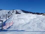 Practice slope in Havsdalen