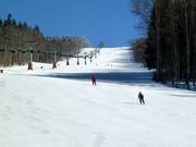 Intermediate slope at the Almberg chairlift