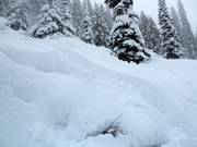 Enough natural snow in the Whitewater ski area