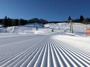 Very good slope grooming in Nesselwang