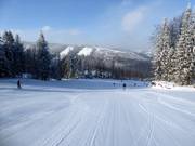 Intermediate slope Malinowa