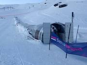 Alfombra Maitena - People mover/Moving Carpet with cover