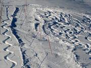 On the right side, a slalom course is set up.