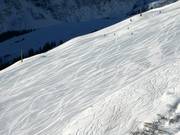 Very well-groomed slopes