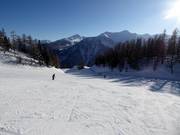 Easy beginner slope Scoiattolo at the Tarlenta mid-station