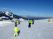 Easy Ladies' Downhill