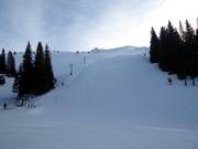 Olimpik 5 slope (FIS)