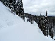 Connecting slope Ripper Connector