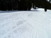 Perfectly groomed slope in Kimberley